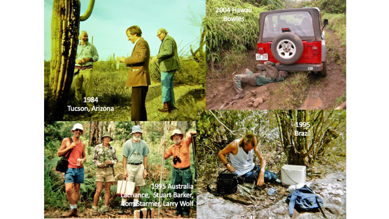 Yeast collecting expeditions image