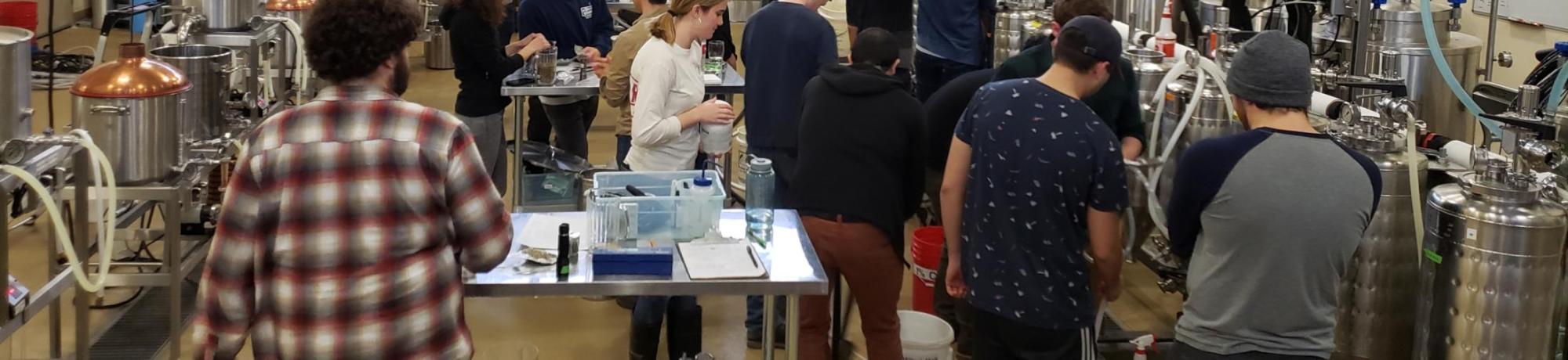 undergrad brewing pic